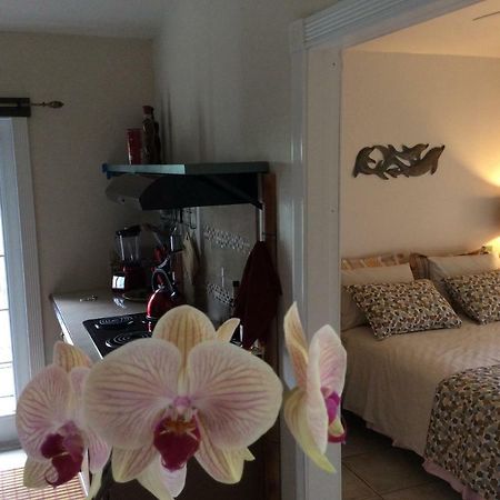 Mediteranean Style Ohana Rental / Garden Bungalow In Pahoa Honolulu Landing Kültér fotó