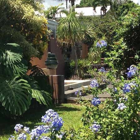 Mediteranean Style Ohana Rental / Garden Bungalow In Pahoa Honolulu Landing Kültér fotó