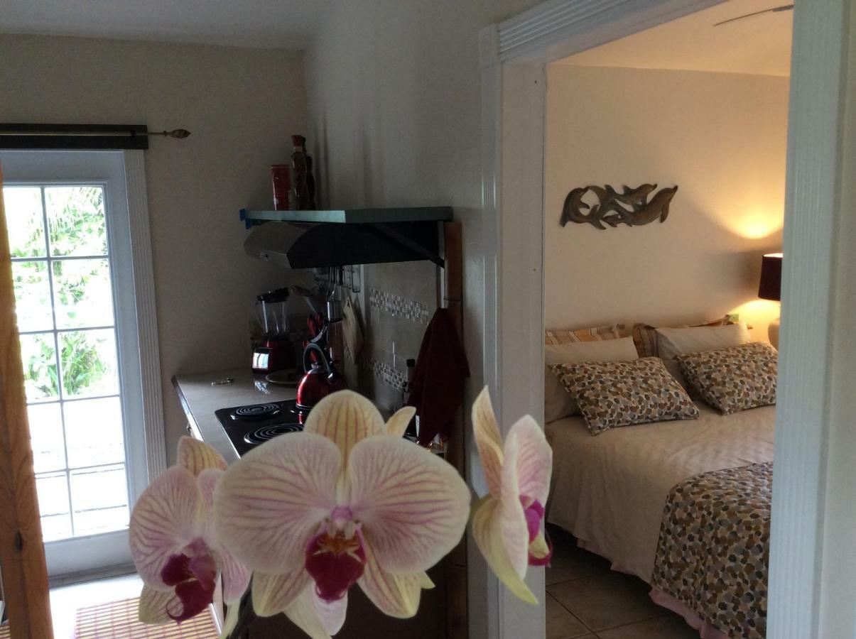 Mediteranean Style Ohana Rental / Garden Bungalow In Pahoa Honolulu Landing Kültér fotó