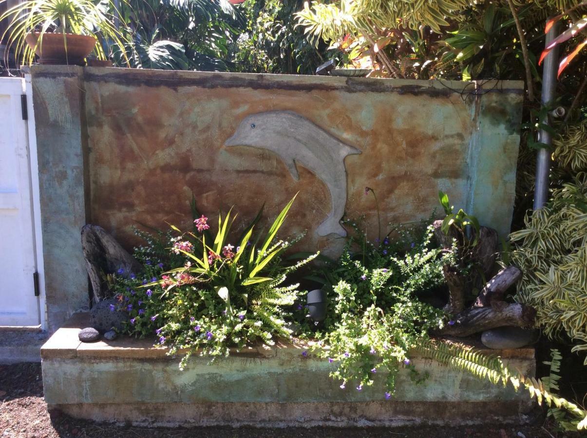 Mediteranean Style Ohana Rental / Garden Bungalow In Pahoa Honolulu Landing Kültér fotó